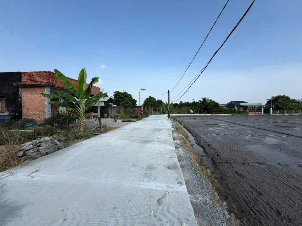 Bán đất lúa mt đường Lê Văn Hiếu , xã Quê Mỹ Thạnh tdt 1000m2 giá 1,1 tỷ 3