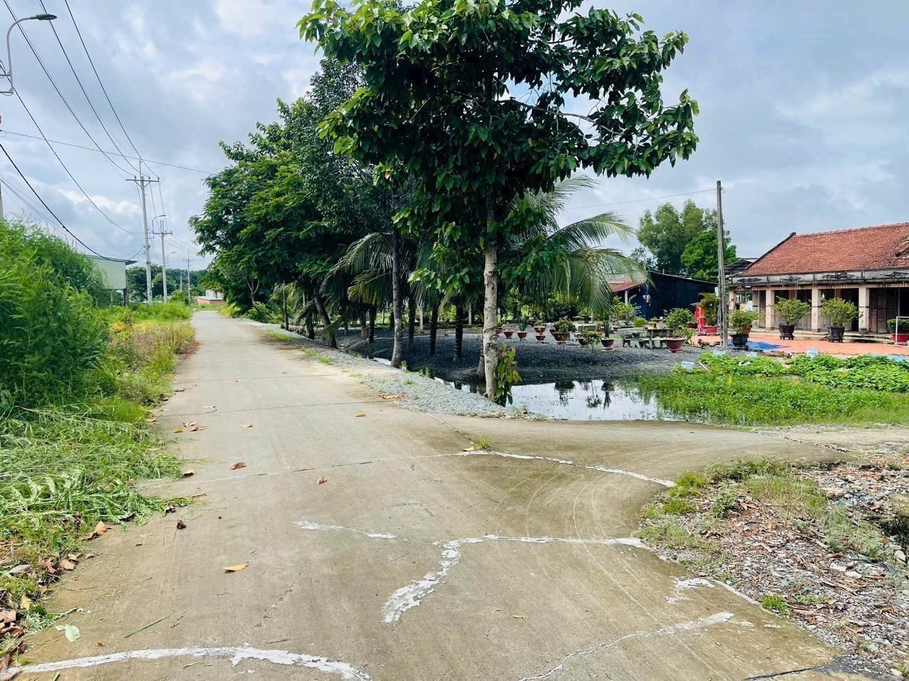 Bán nhà sân rộng hẻm tỉnh lộ 7, xã Phước Thạnh tdt 389,5m2 full thổ giá 3,4 tỷ 4