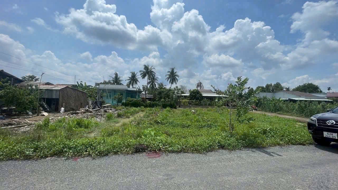 Bán đất thổ cư mặt tiền Nguyễn Văn Dư , xã Bình Lãng , Tân Trụ dt 151,2m2 giá 670 triệu 3