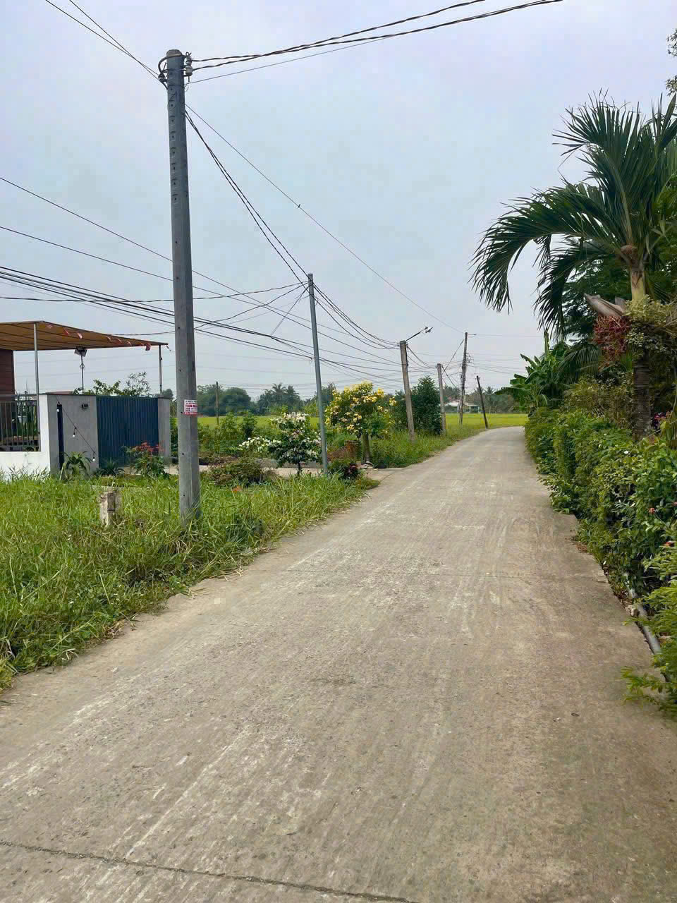 Bán đất thổ cư mt đường Nguyễn Văn Thọ , xã Lạc Tấn , Tân Trụ dt 228.3m2 giá 870 triệu 2