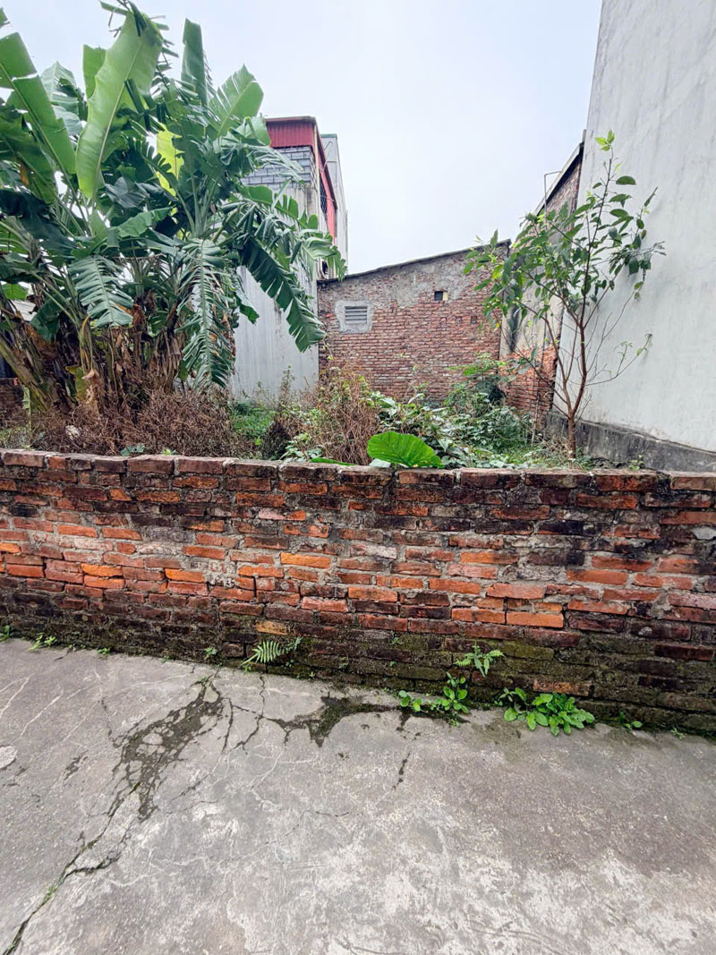 Bán đất Phúc Lợi 55m2 Ngõ 321, Mặt tiền rộng 6,38m, Sát ô tô, Gần Ruby 4 & Chợ, Sổ đỏ 3