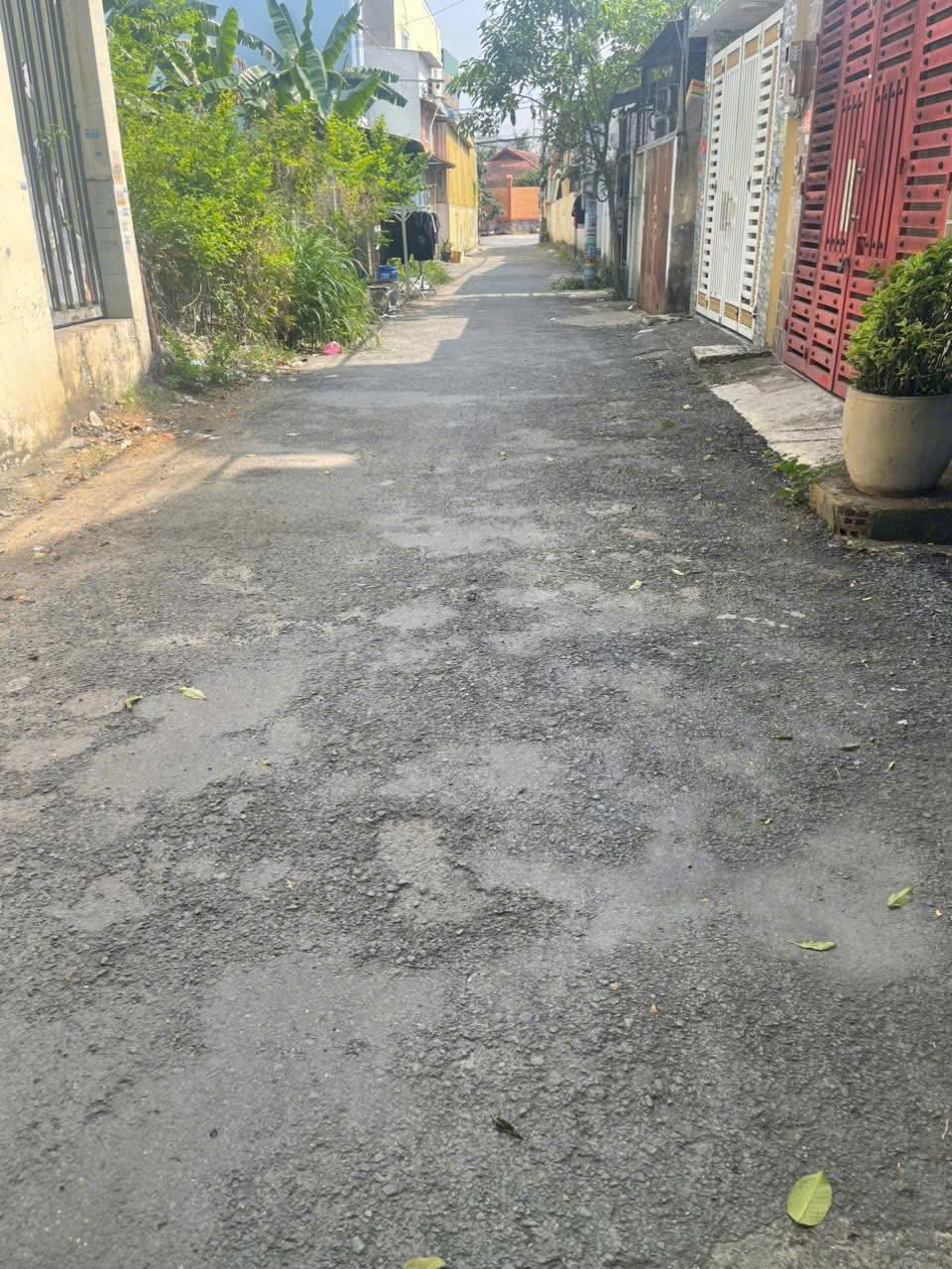 NGỘP TIỀN BÁN GẤP – NHÀ ĐẤT 600m² THỔ CƯ – XUÂN THỚI ĐÔNG, HÓC MÔN 3