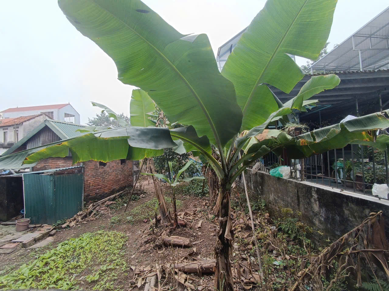 Cần bán Đất Thạch Thất, Hà Nội, Diện tích 115m², Giá 4 Tỷ 2