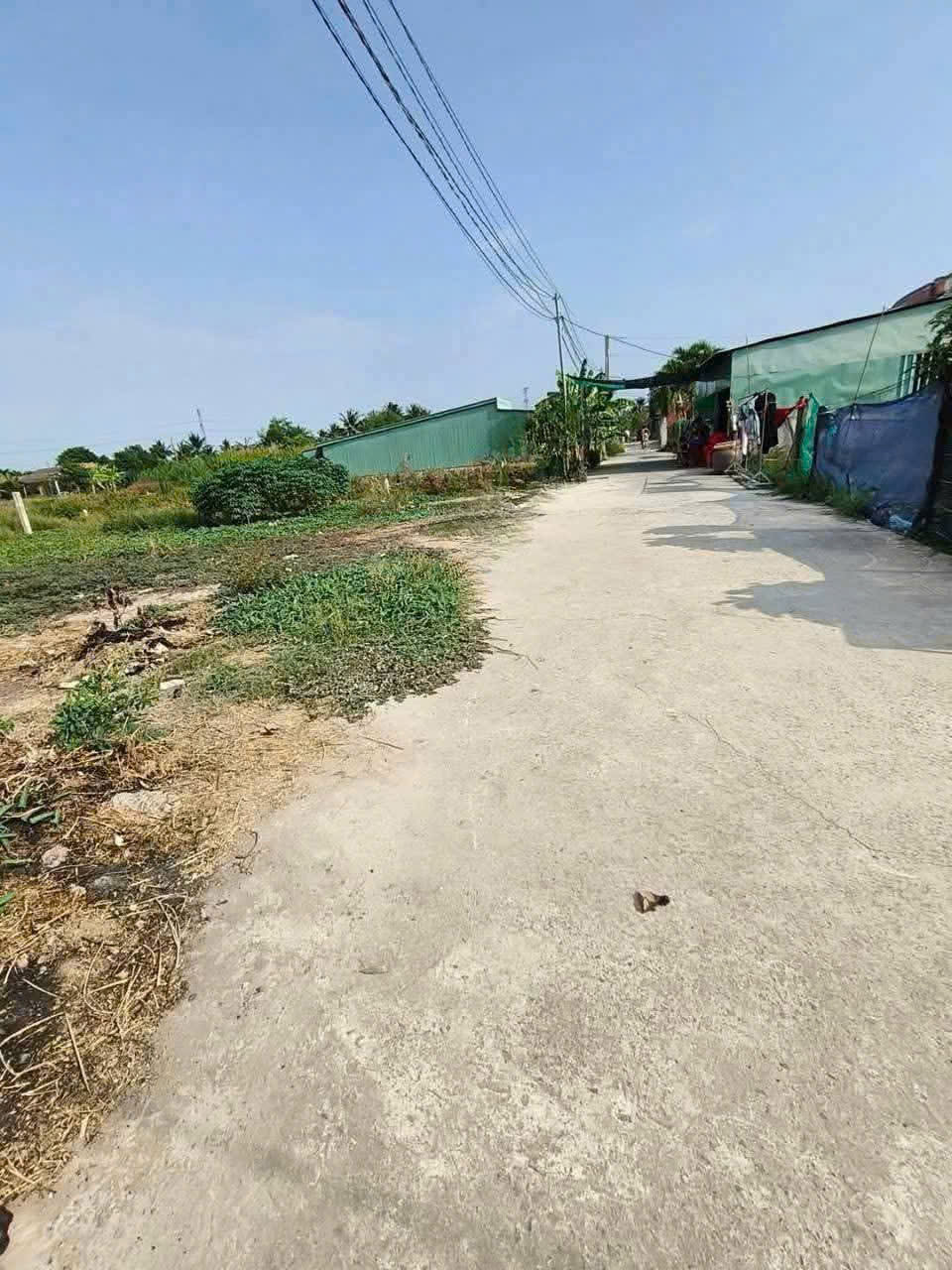 Bán đất thổ lúa xã Thạnh Đức, Bến Lức tdt 870m2 ( 300m2 thổ cư ) đường beton 4,5m giá 2,2 tỷ