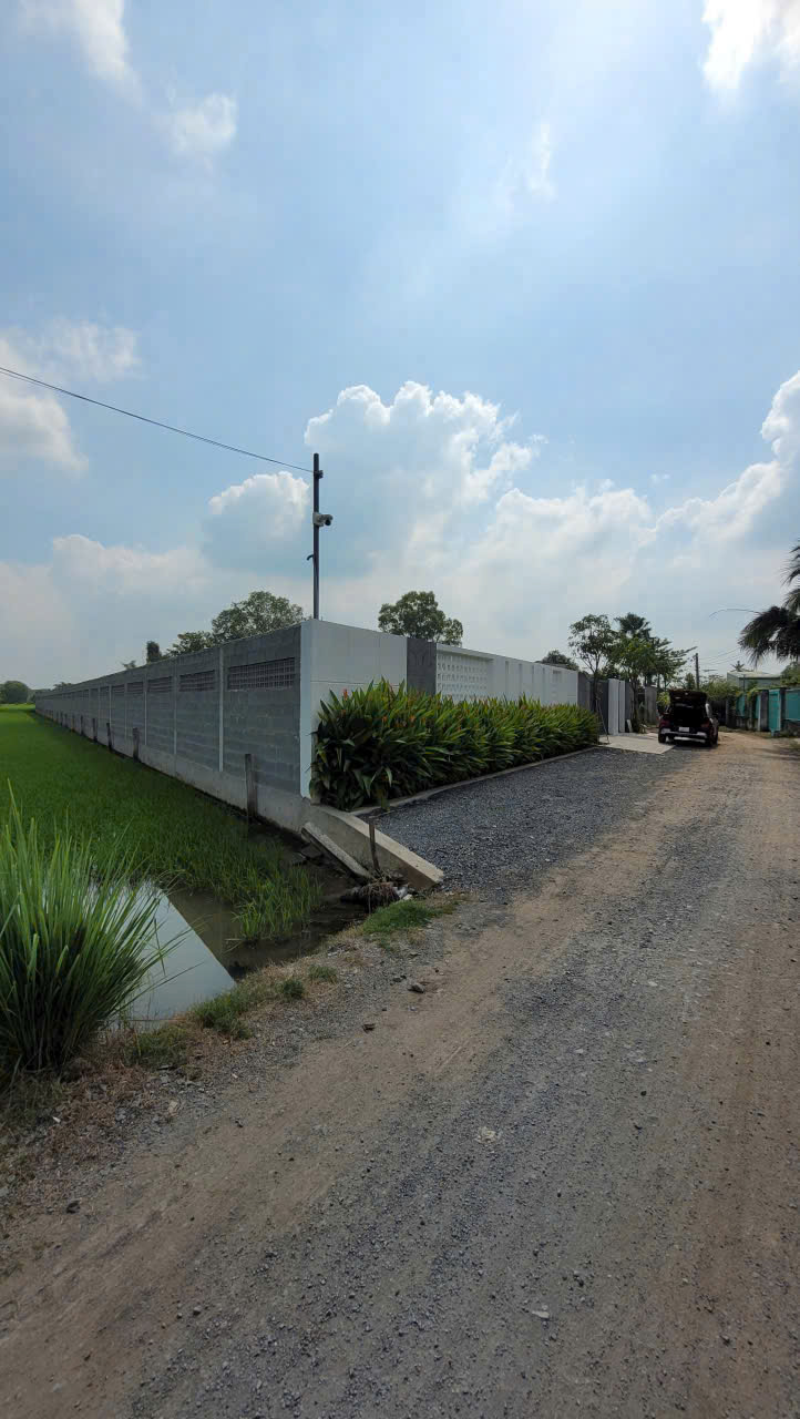 Bán đất thổ vườn xã Phước Lợi , Bến Lức tdt 1967m2 ( 300m2 thổ ) có tường rào bao quanh giá 6,45 tỷ 4