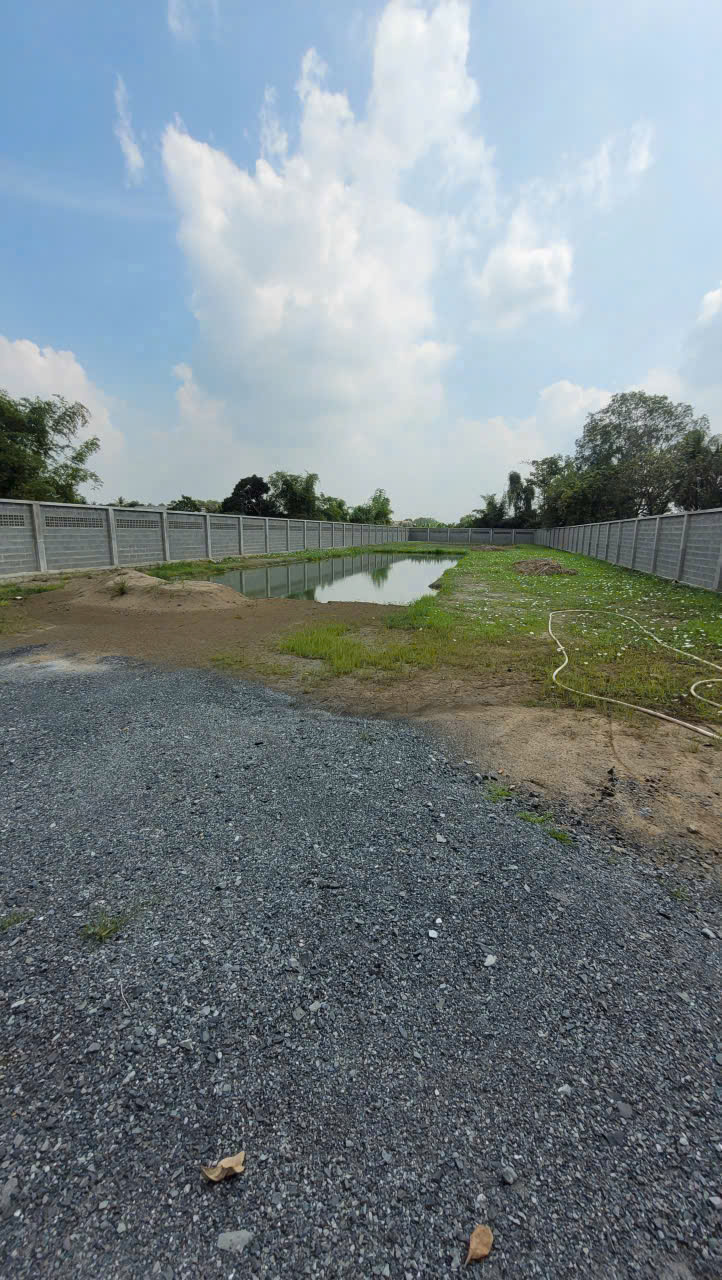 Bán đất thổ vườn xã Phước Lợi , Bến Lức tdt 1967m2 ( 300m2 thổ ) có tường rào bao quanh giá 6,45 tỷ 5