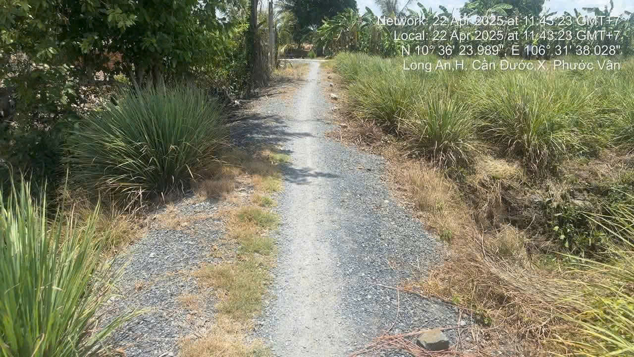 Bán đất thổ cư xã Phước Vân , Cần Đước dt 1825m2 đường xe máy giá 4,5 tỷ