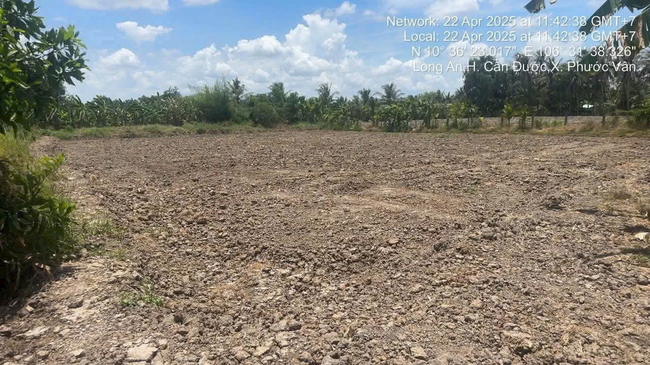 Bán đất thổ cư xã Phước Vân , Cần Đước dt 1825m2 đường xe máy giá 4,5 tỷ 2