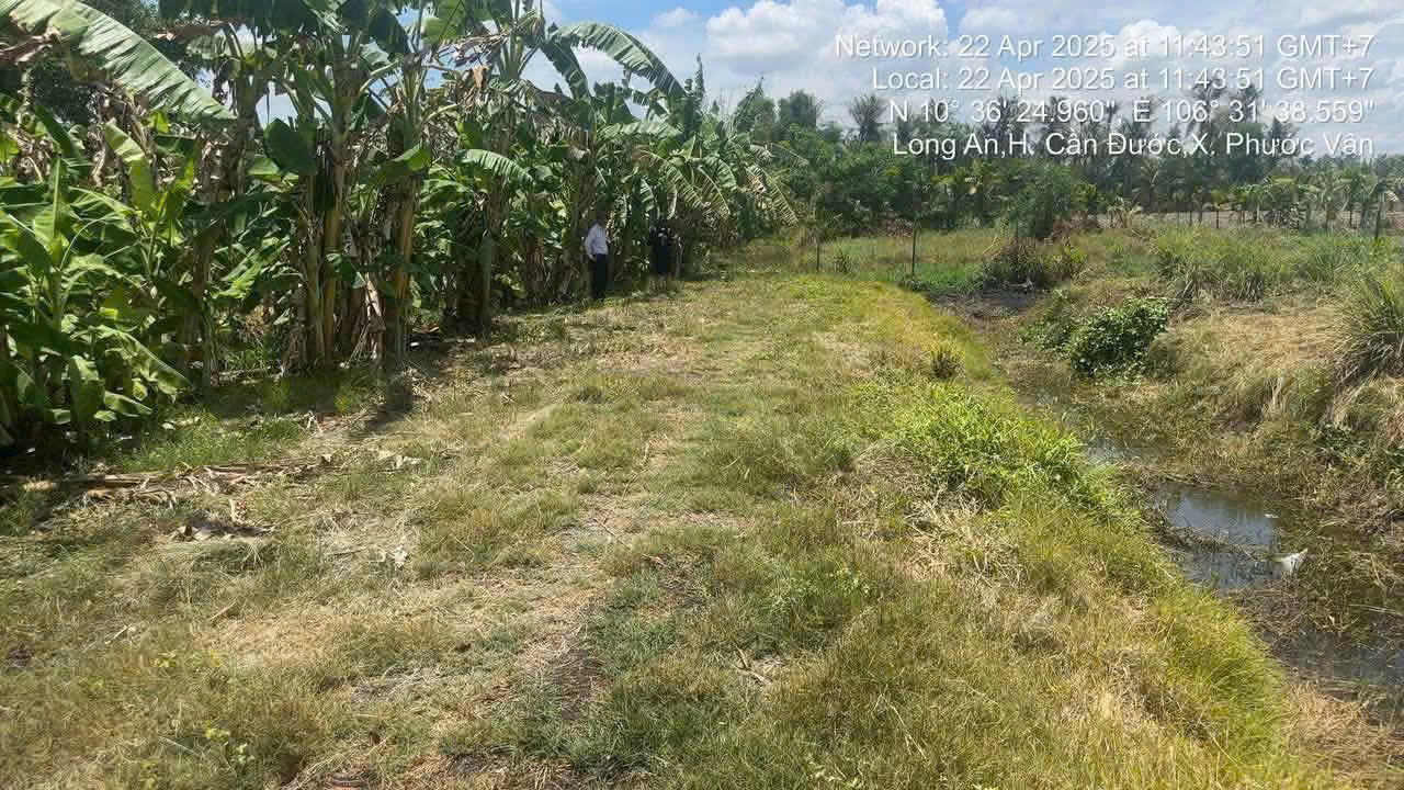 Bán đất thổ cư xã Phước Vân , Cần Đước dt 1825m2 đường xe máy giá 4,5 tỷ 3