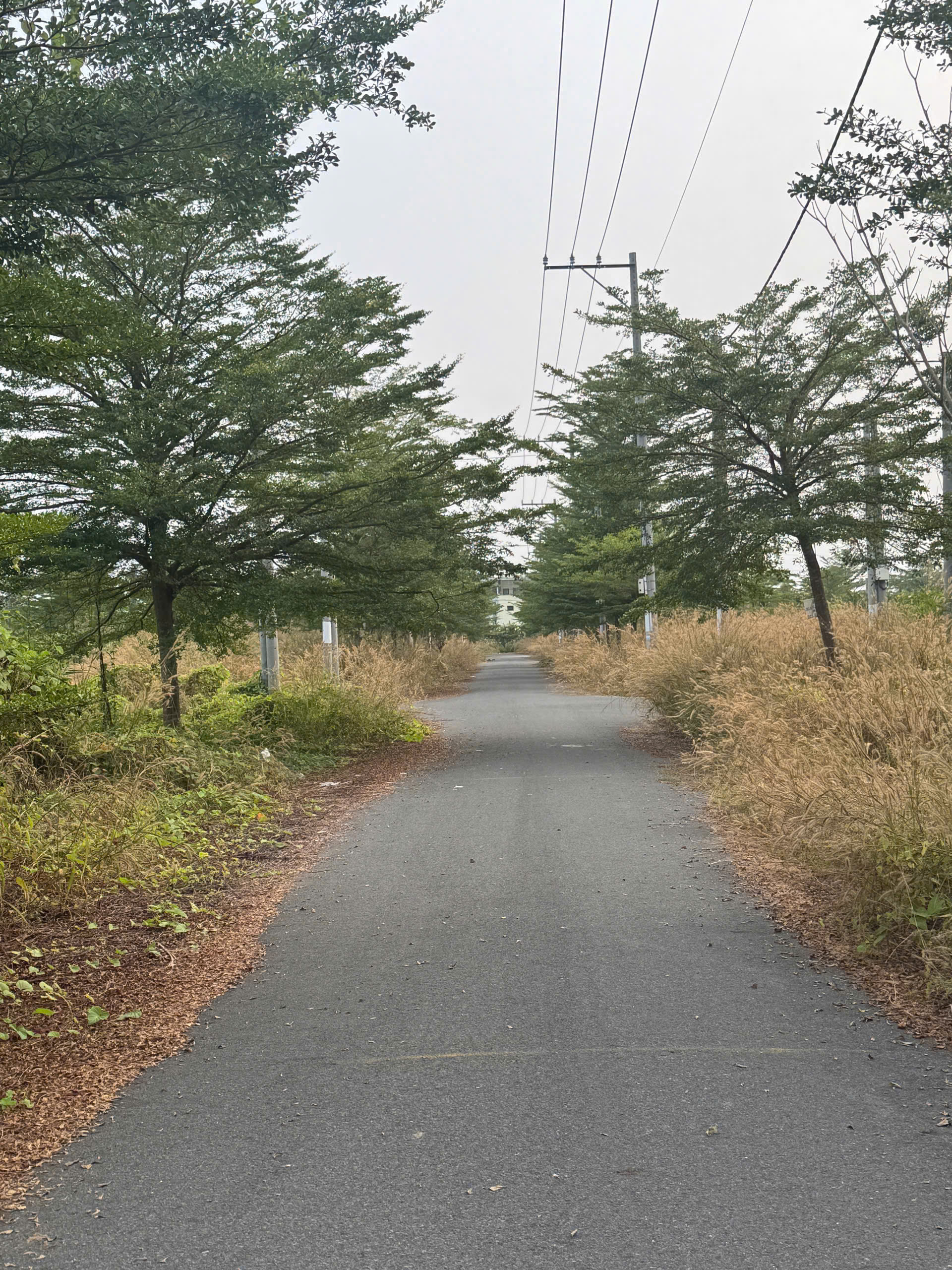 Đất nền kdc Tân Lân Residence 64m2 chủ cần bán gấp 690tr giá đầu tư 2