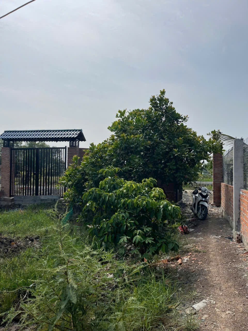 Bán nhà vườn đất lúa xã Hòa Khánh Tây dt 1000m2 giá 1,75 tỷ 3