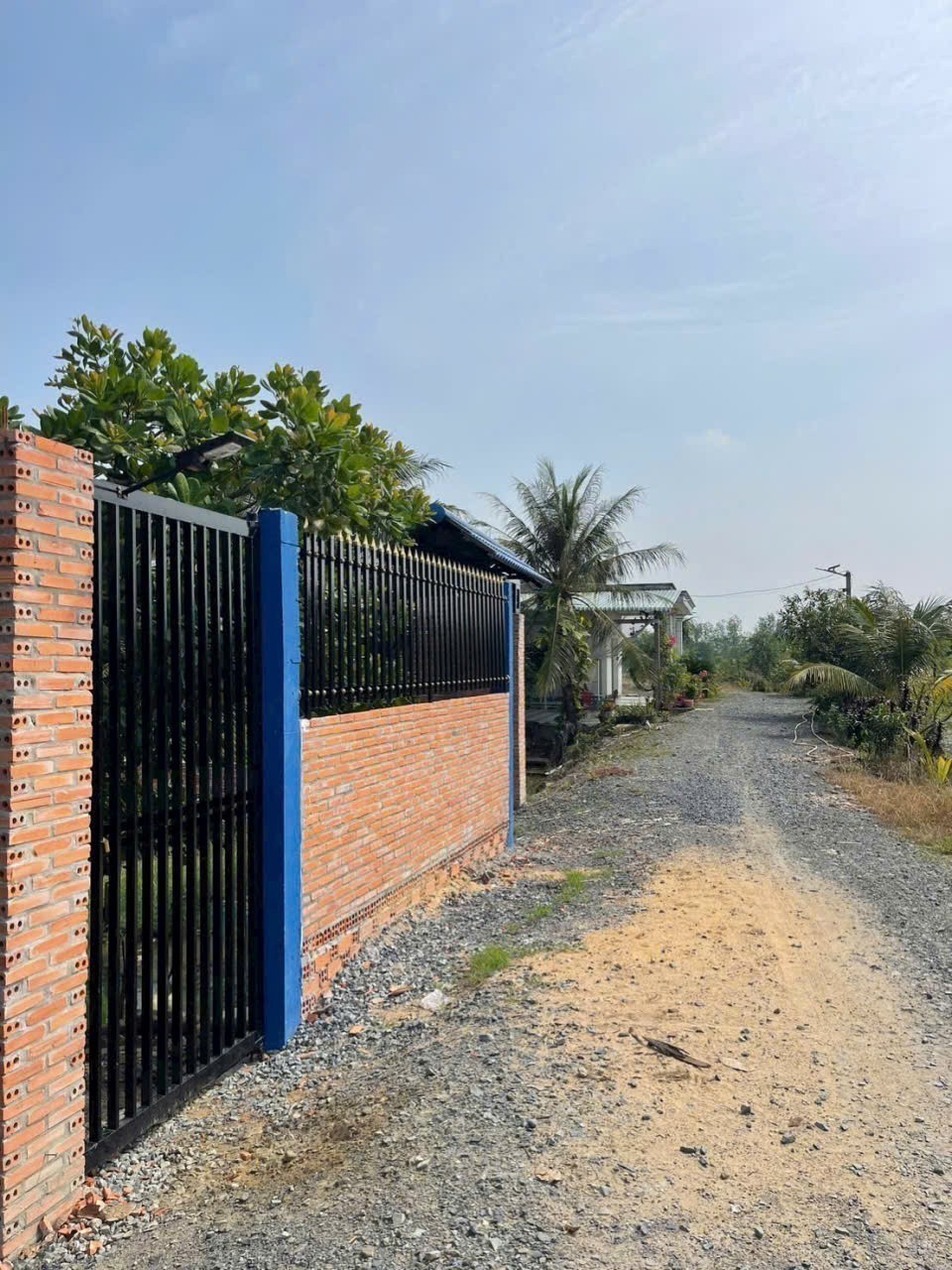 Bán nhà vườn đất lúa xã Hòa Khánh Tây dt 1000m2 giá 1,75 tỷ 5