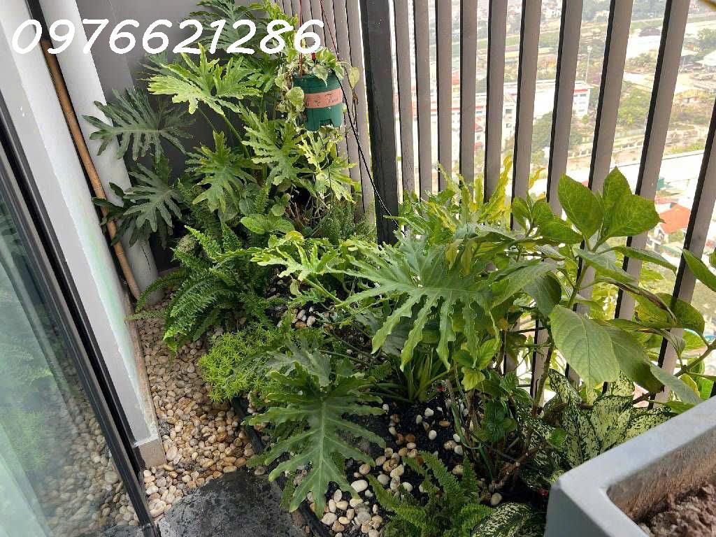 BÁN CĂN GÓC BÌNH MINH GARDEN – 104m² – 3 NGỦ – 2WC – GIÁ 8,X TỶ – FULL NỘI THẤT CAO CẤP– VIEW CẦU 5