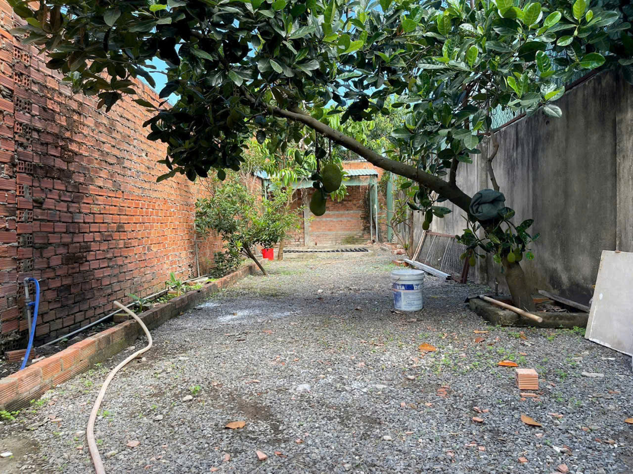 Bán nhà hẻm ấp 2 xã Tân Thạnh Đông dt 202m2 ( 78m2 thổ ) 2pn , 2wc giá 2,5 tỷ 5