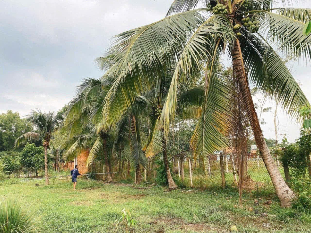 ĐẤT RỘNG PHÚ MỸ HƯNG – CỦ CHI - GIÁ MỀM NGANG LỚN 28M – CÓ 500M² THỔ CƯ 3