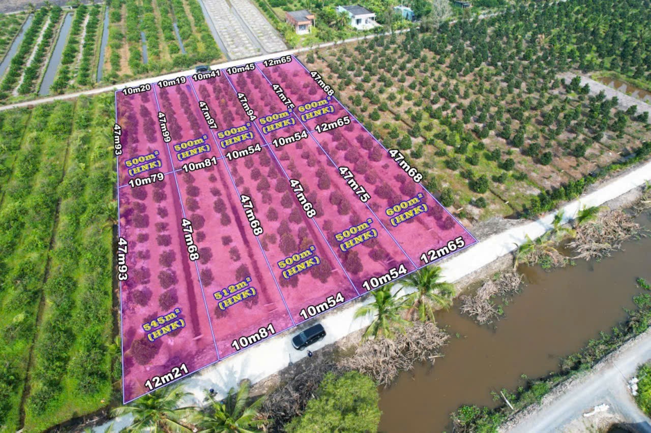 Bán 10 lô đất vườn liền kề view kênh xã Bình Đức dt 500m2 giá 650tr / 1 lô 3