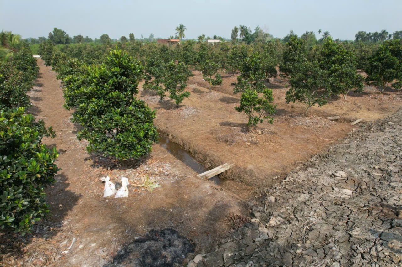 Bán 10 lô đất vườn liền kề view kênh xã Bình Đức dt 500m2 giá 650tr / 1 lô 5