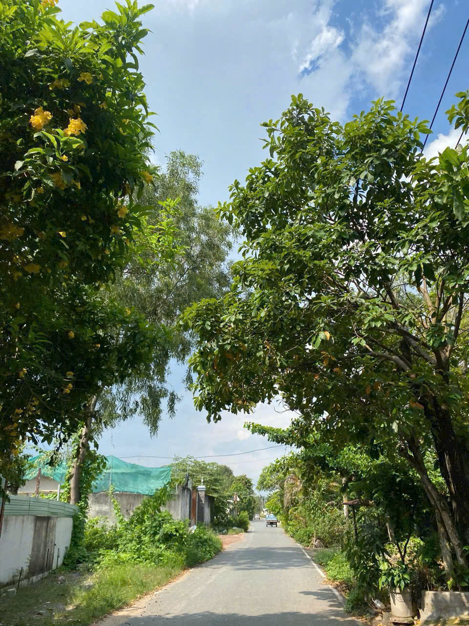 Cần bán Đất Phường Long Phước, Quận 9, Diện tích 901m², Giá 26.5 Tỷ 2