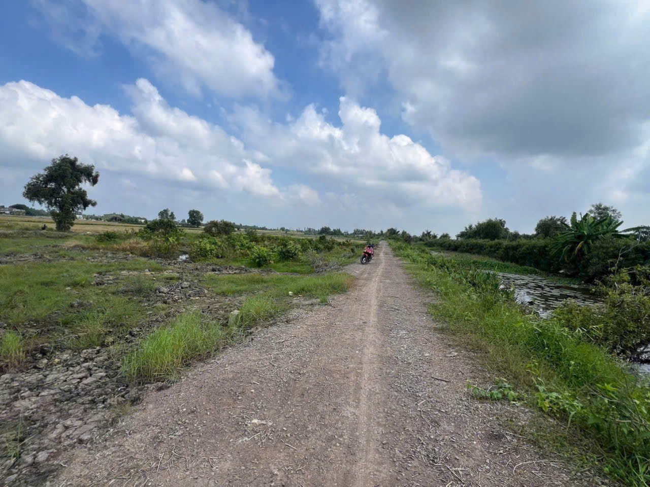 Cần bán Đất Xã Tân Thành, Thủ Thừa, Diện tích 1000m², Giá 1.15 Tỷ 2