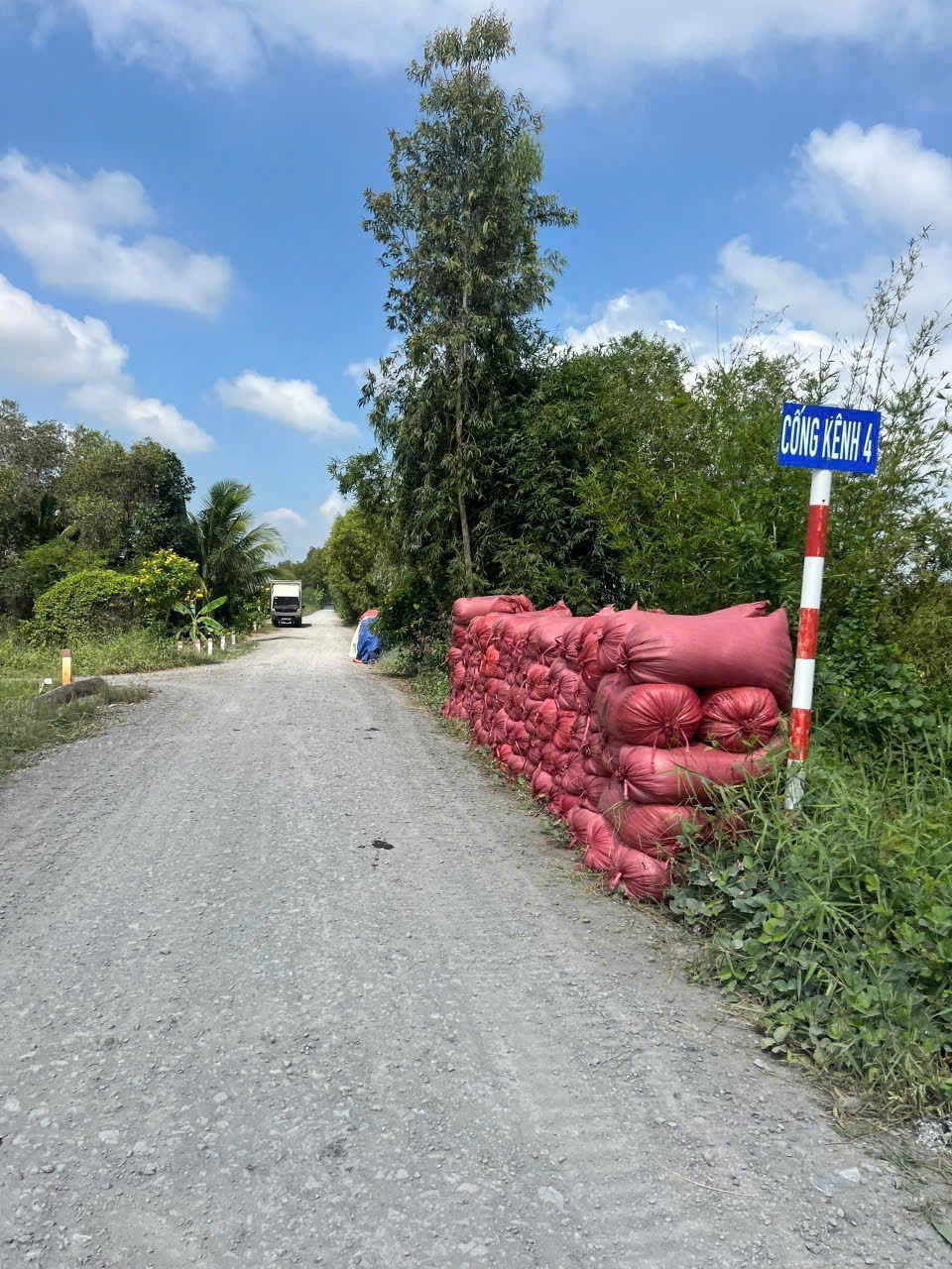 Cần bán Đất Xã Tân Thành, Thủ Thừa, Diện tích 1000m², Giá 1.15 Tỷ 3