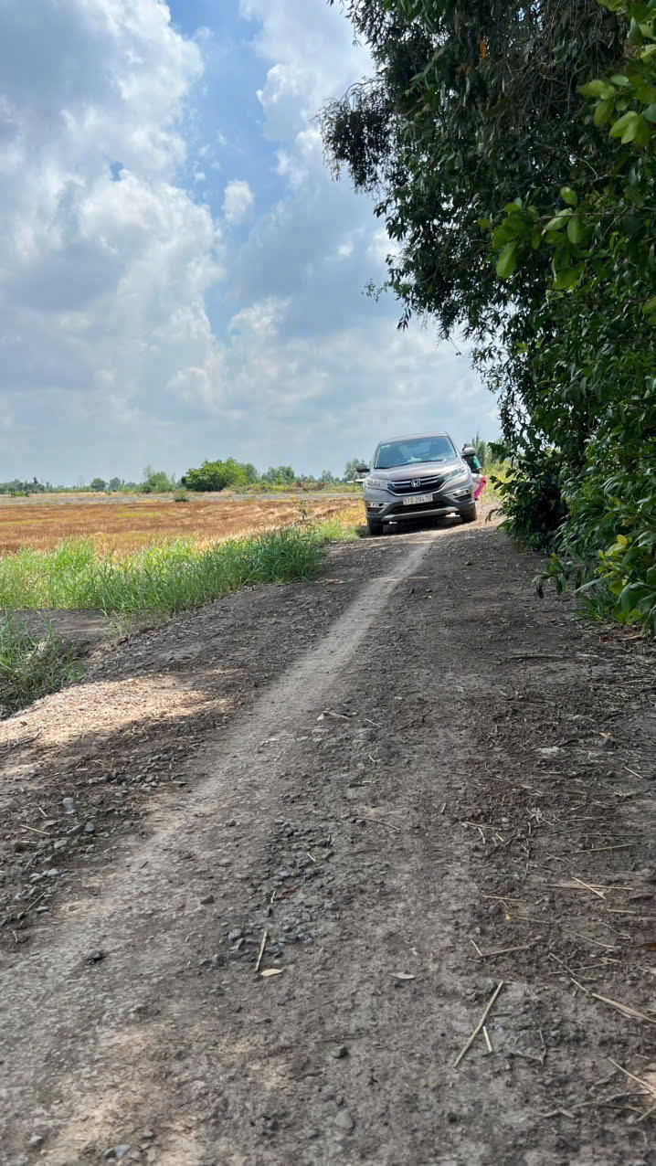 Cần bán Đất Xã Tân Thành, Thủ Thừa, Diện tích 1000m², Giá 1.15 Tỷ 5