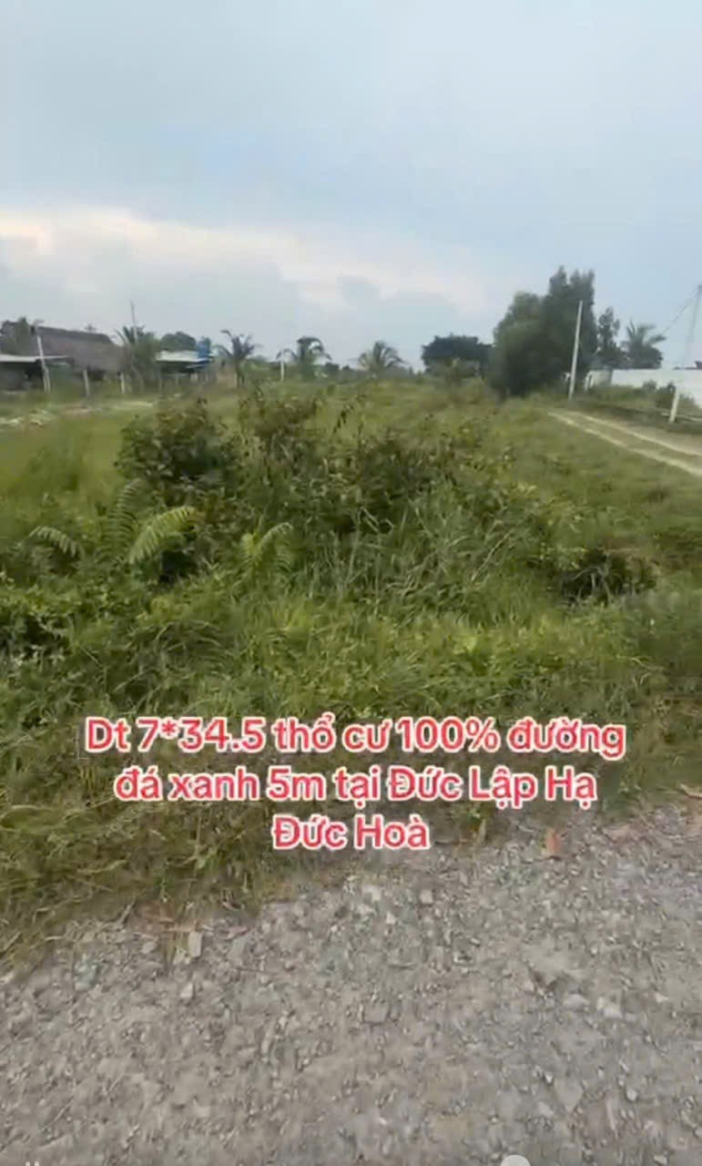 Bán đất thổ cư , đường đá xanh 5m xã Đức Lập Hạ dt 241m2 giá 1,4 tỷ 2