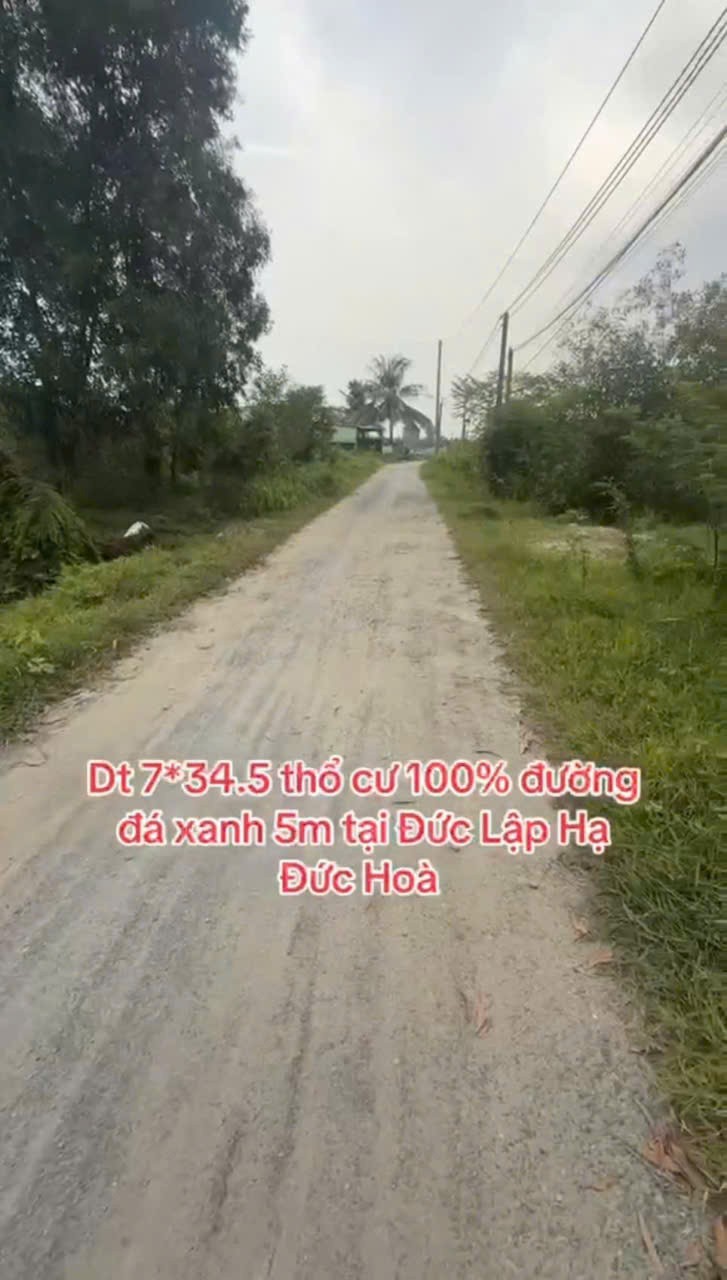 Bán đất thổ cư , đường đá xanh 5m xã Đức Lập Hạ dt 241m2 giá 1,4 tỷ 3