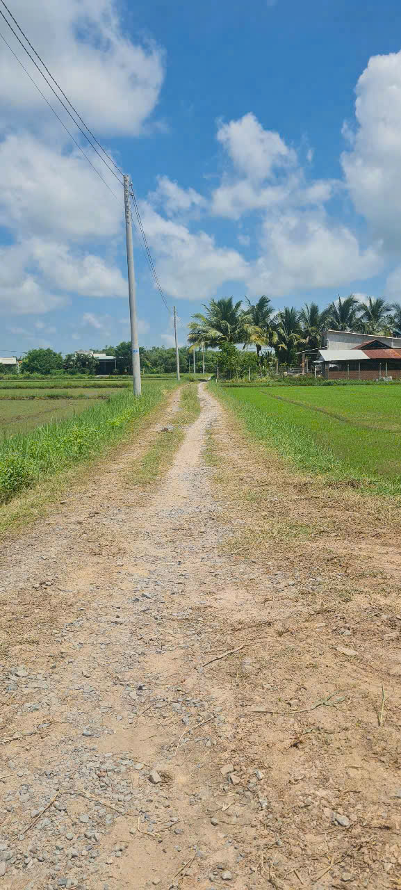 Bán đất lúa 2 mặt tiền xã Tân Phú, Đức Hòa tdt 680m2 giá 700 triệu