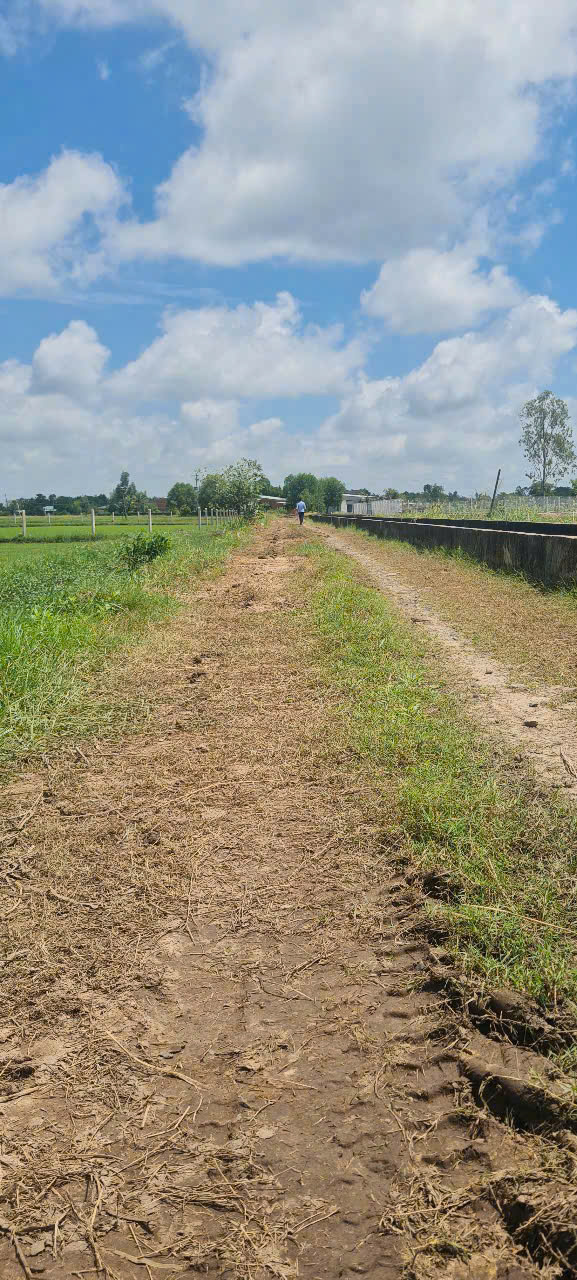 Bán đất lúa 2 mặt tiền xã Tân Phú, Đức Hòa tdt 680m2 giá 700 triệu 2