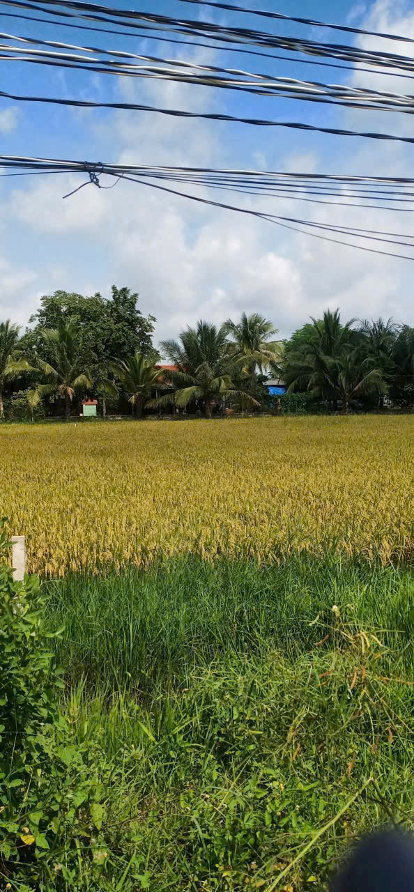 Bán nền thổ cư đường beton xã Đức Hòa Thượng dt 230m2 giá 1,15 tỷ 3