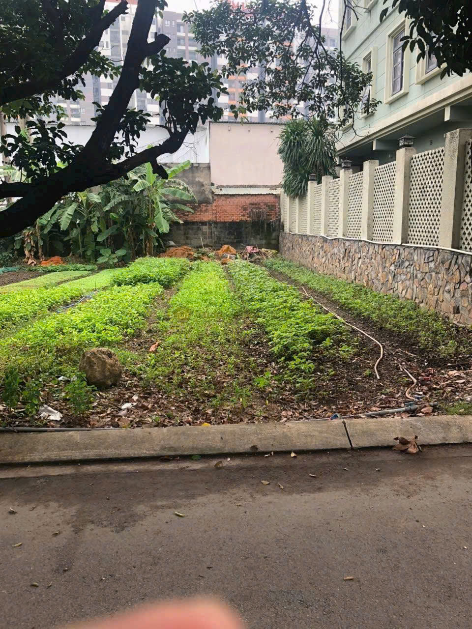 Cho thuê Biệt thự Phường Thảo Điền, Quận 2, Diện tích 250m², Giá 25 Triệu/tháng 6