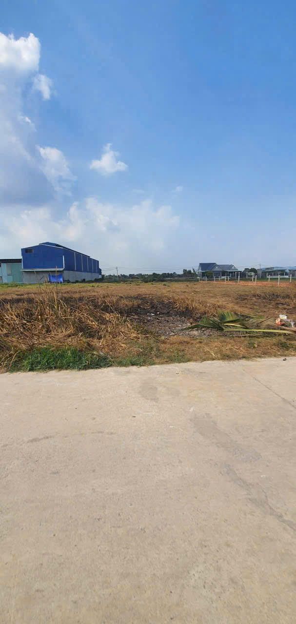 Bán đất thổ cư đường beton xe hơi ở xã Đức Hòa Đông , Đức Hòa dt 303m2 giá 1,6 tỷ 2