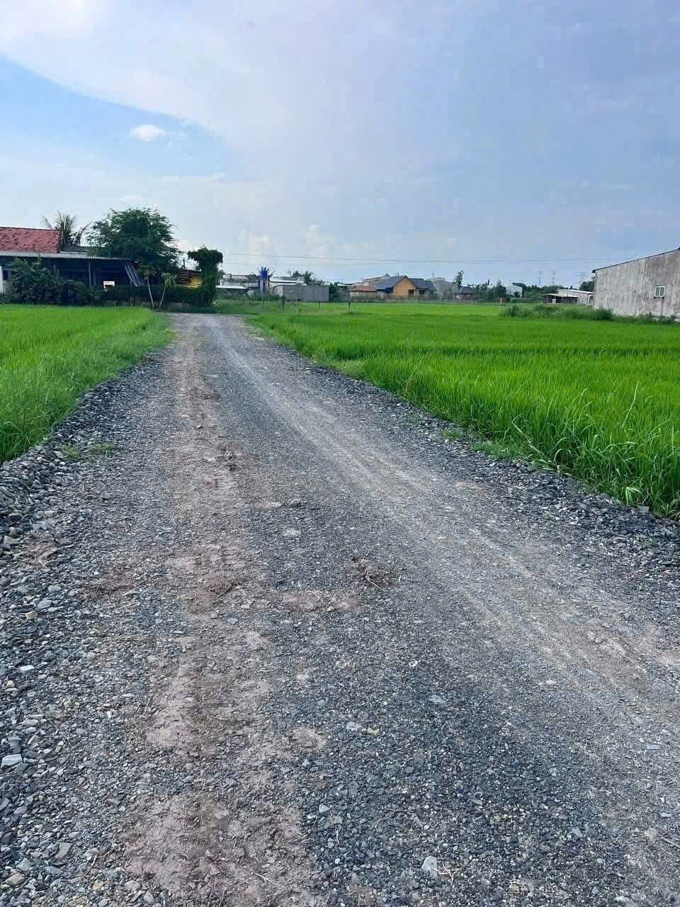 Bán 2 nền thổ cư liền kề xã Hòa Khánh Đông , Đức Hòa dt 160m2 giá 800 triệu 1 nền