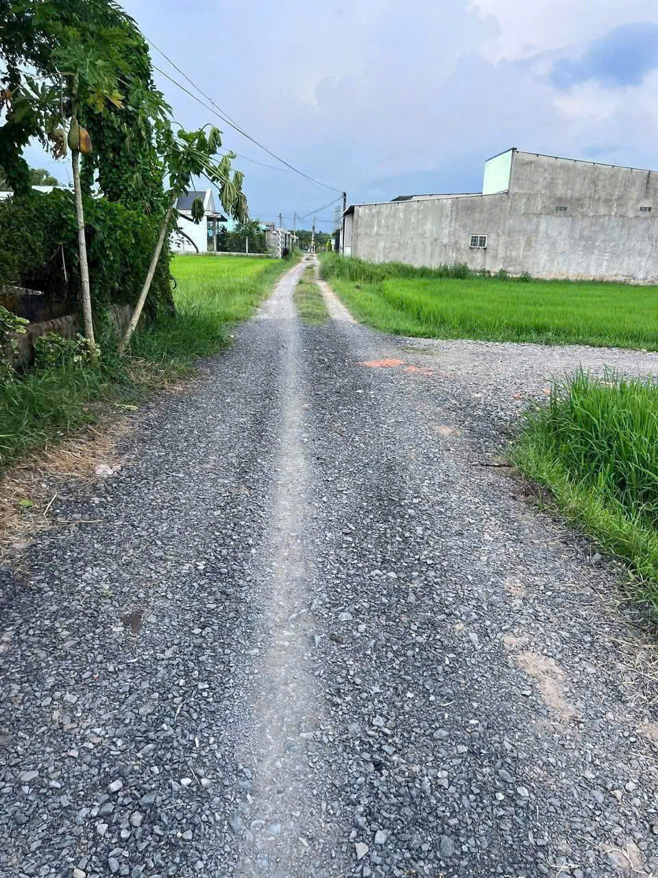 Bán 2 nền thổ cư liền kề xã Hòa Khánh Đông , Đức Hòa dt 160m2 giá 800 triệu 1 nền 2