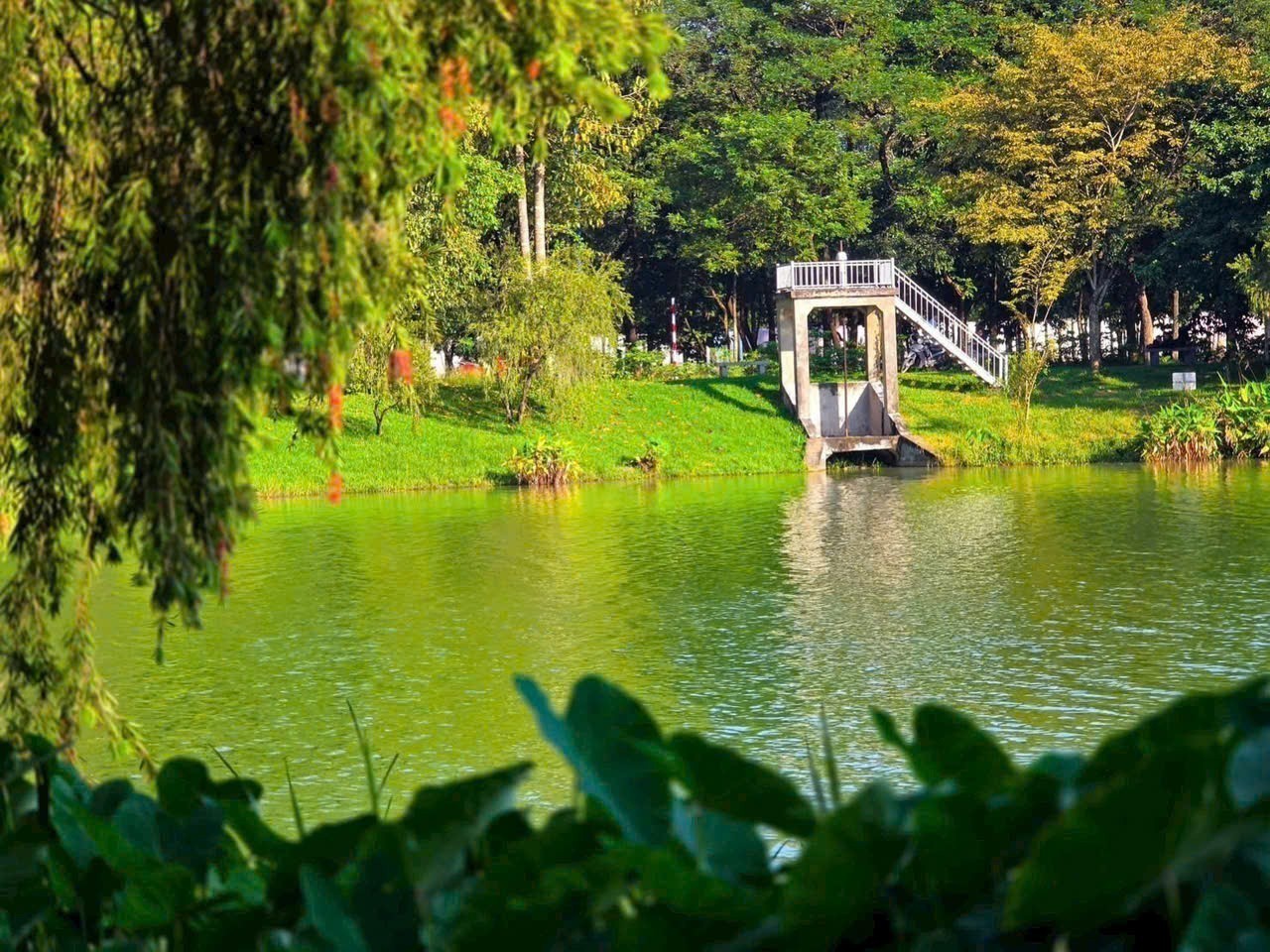 Cần bán Biệt thự Thủ Dầu Một, Bình Dương, Diện tích 100m², Giá Thương lượng