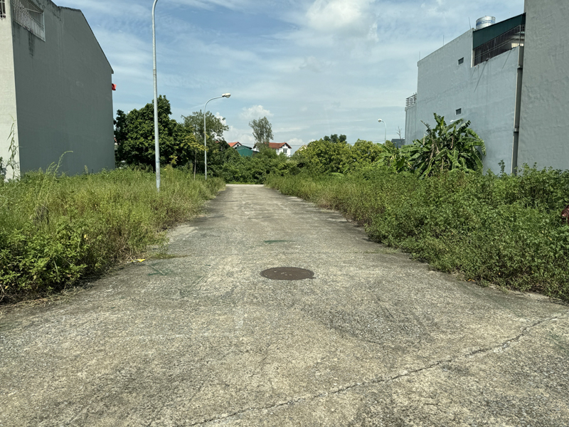 Bán đất tái định cư Ngọc Động 80m2, view vườn hoa cực thoáng, cạnh Vin Safari, đường 11m có vỉa hè. 2