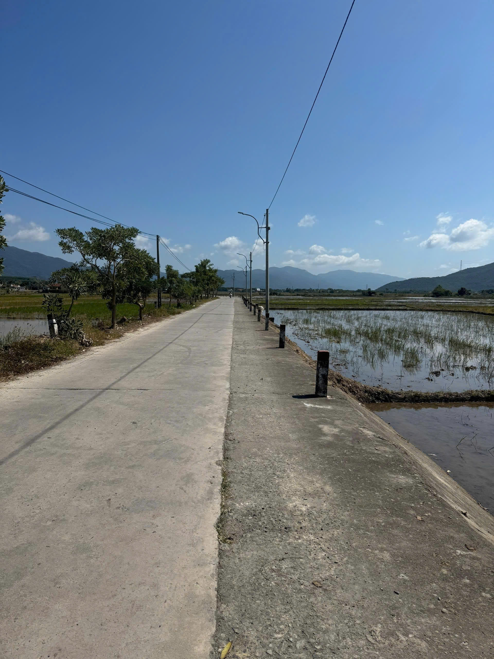 Cần bán Đất Phường Ninh Giang, Ninh Hòa, Diện tích 205m², Giá 2,65 Tỷ 3