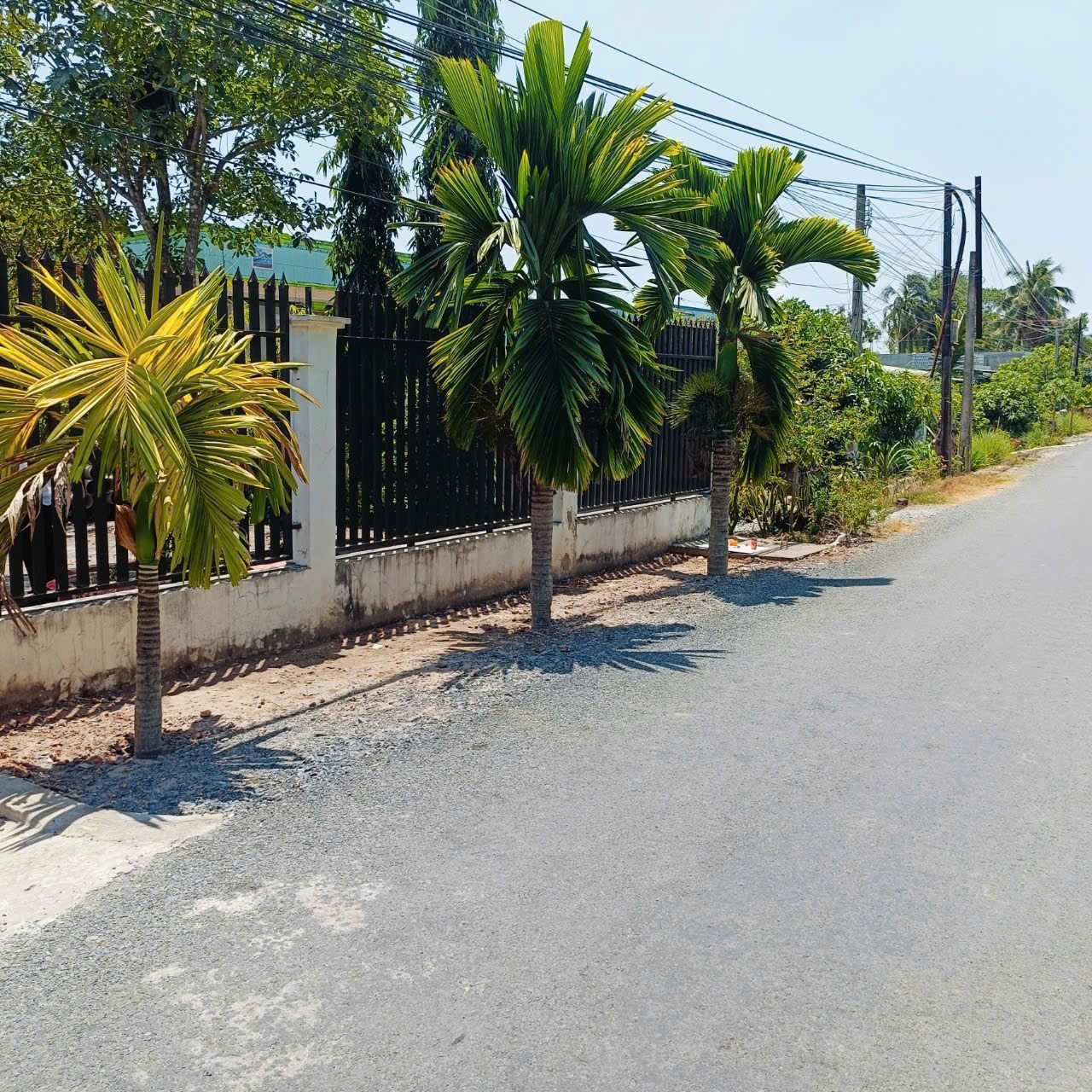 Bán nhà vườn mt đường Nguyễn Văn Ngộ , Nhị Thành , Thủ Thừa tdt 3200m2 ( 620m2 thổ) giá 9 tỷ 3