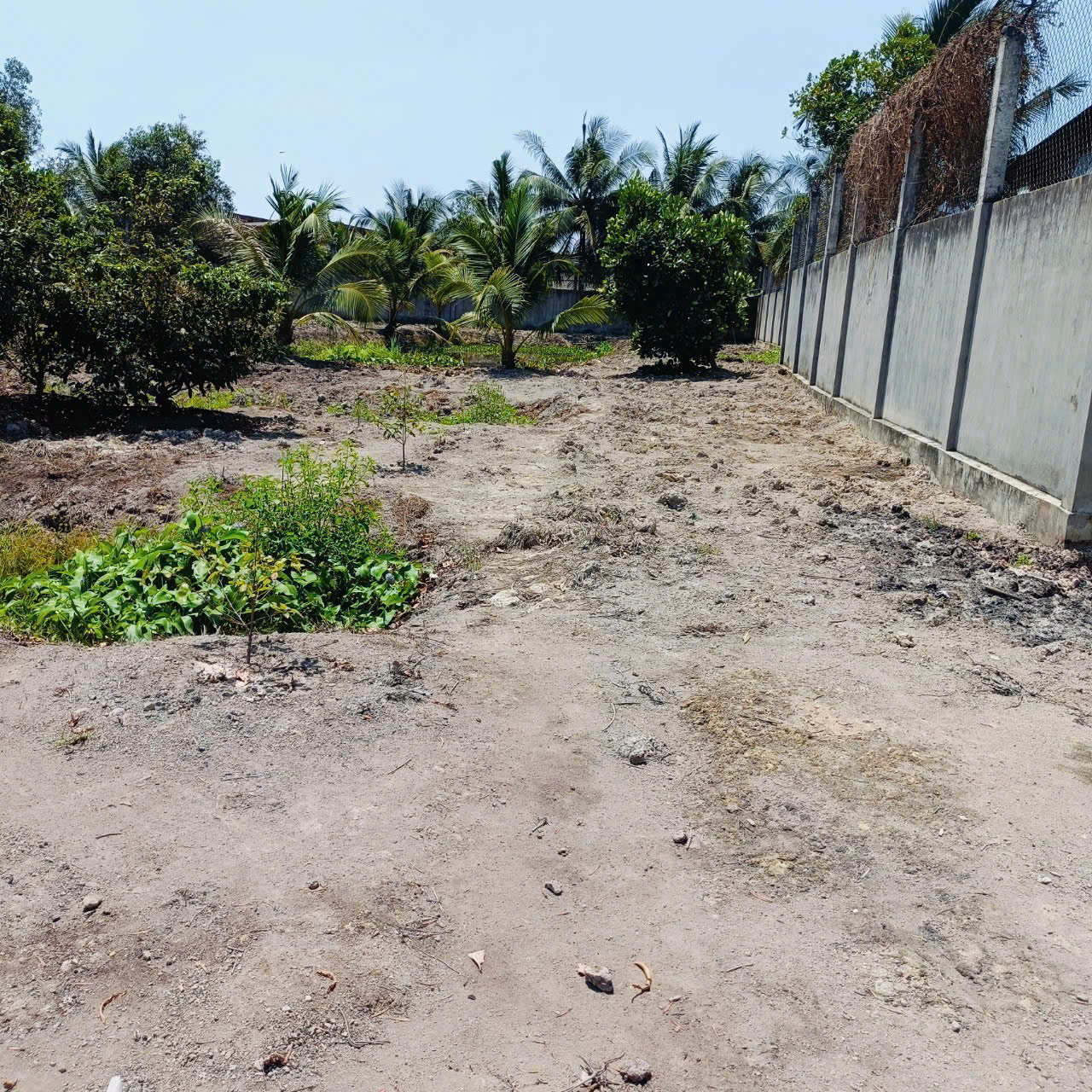 Bán nhà vườn mt đường Nguyễn Văn Ngộ , Nhị Thành , Thủ Thừa tdt 3200m2 ( 620m2 thổ) giá 9 tỷ 6