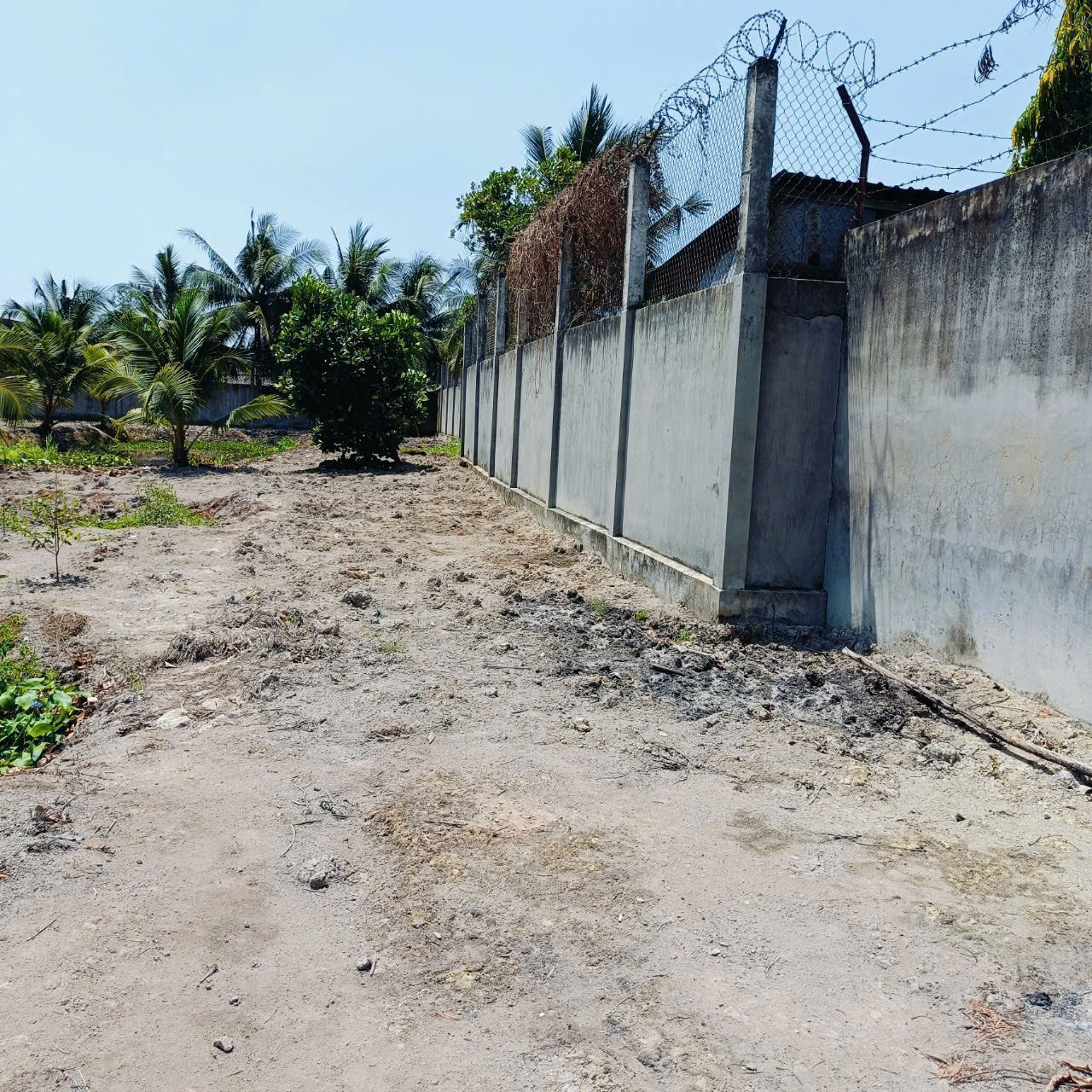 Bán nhà vườn mt đường Nguyễn Văn Ngộ , Nhị Thành , Thủ Thừa tdt 3200m2 ( 620m2 thổ) giá 9 tỷ 8