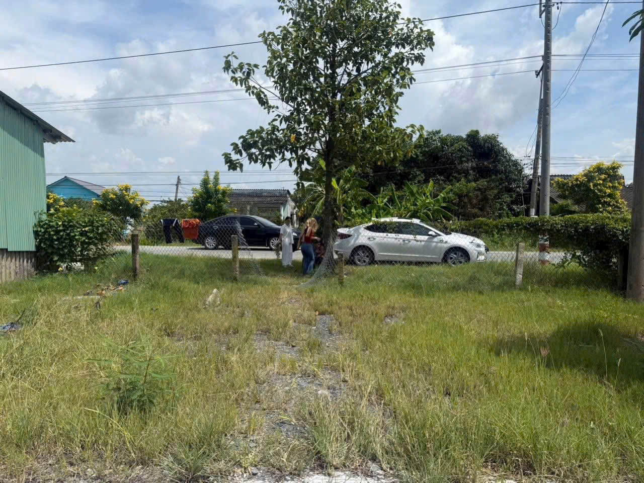 Bán đất mặt tiền ĐT 832 , xã Nhựt Ninh, Tân Trụ tdt 4000m2 ( 500m2 thổ ) giá 6,5 tỷ 4