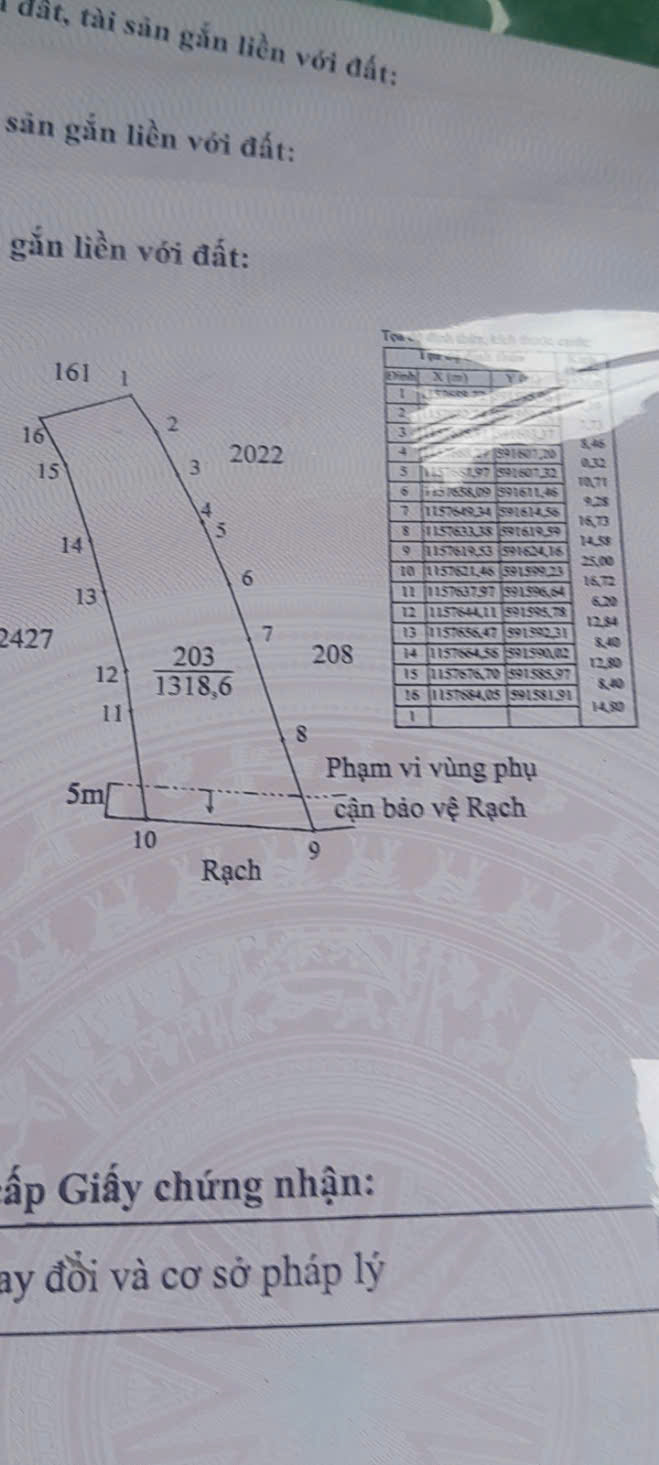 Đất lúa 1300m2 mt sông Vàm Cỏ xã Tân Chánh giá rẻ 550tr 4