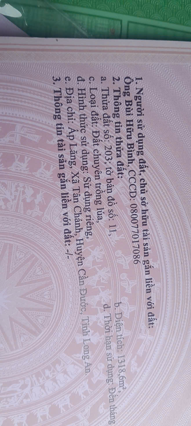 Đất lúa 1300m2 mt sông Vàm Cỏ xã Tân Chánh giá rẻ 550tr 5