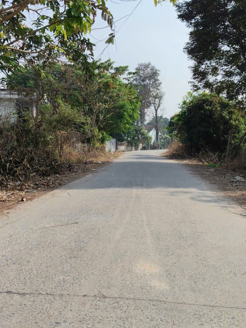 Bán nhà cấp 4 đường beton, xã Phước Thạnh, Củ Chi dt 106m2 full thổ giá 1,65 tỷ 3