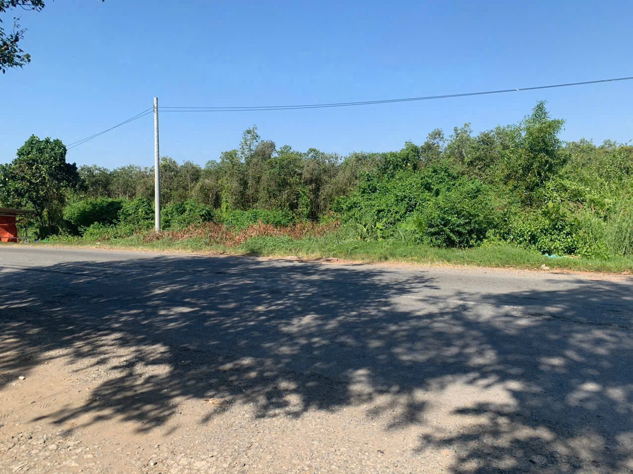 Bán đất mặt tiền quốc lộ N2 , xã Thạnh Lợi , Bến Lức tdt 22,870m2 ( đất rừng sản xuất ) giá 34 tỷ 5