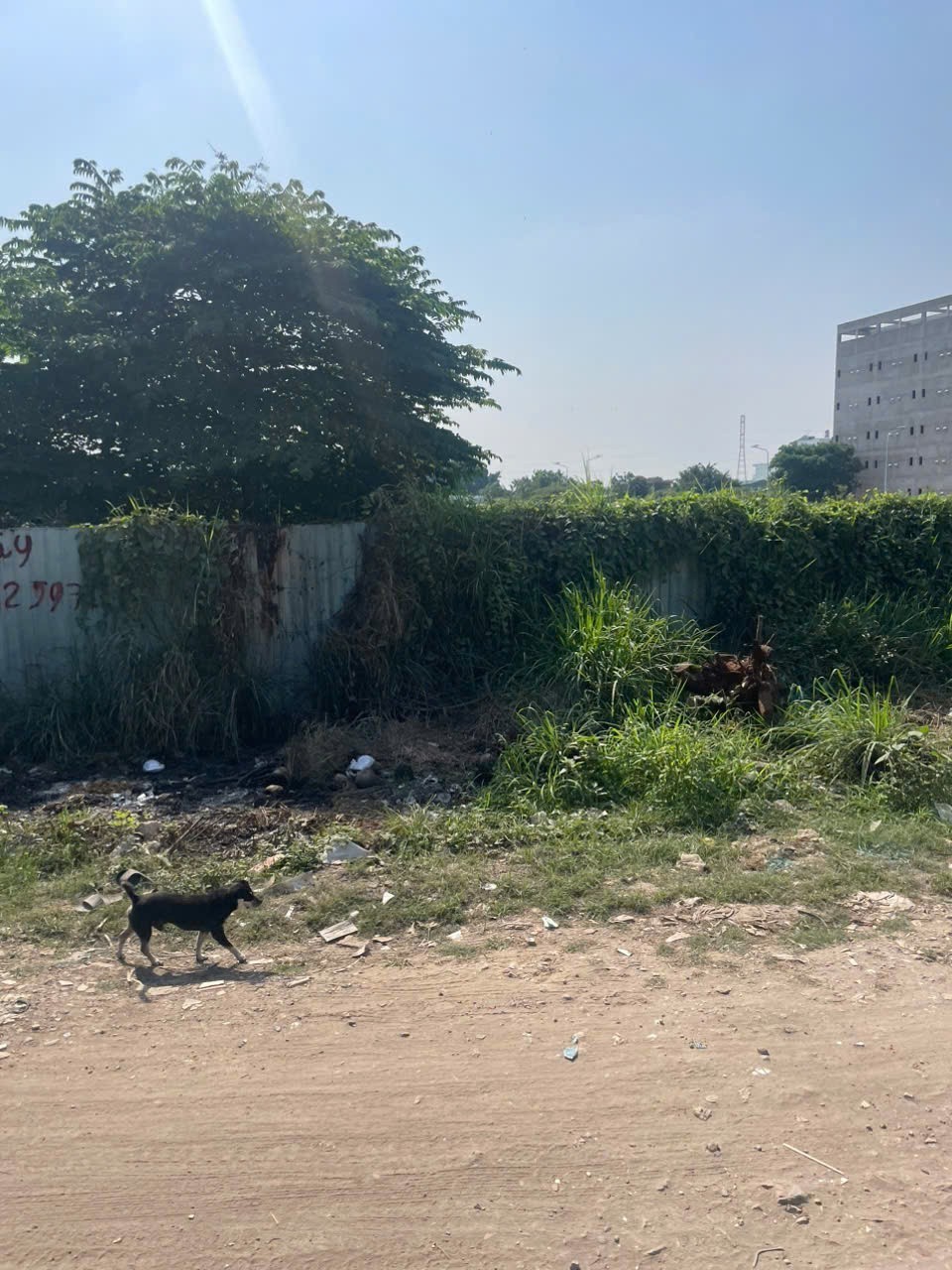 SIÊU PHẨM ĐẤT MẶT TIỀN RẠCH VƯỜN LÀI, Q.12 GẦN QL1A – DT KHỦNG – THỔ CƯ GẦN 3.000m² 2