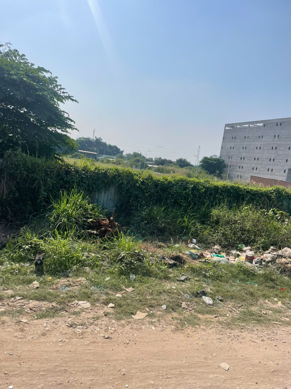 Bán đất mặt tiền Rạch Vườn Lài Quận 12 – diện tích 3.786m² – gần QL1A – thổ cư lớn 5