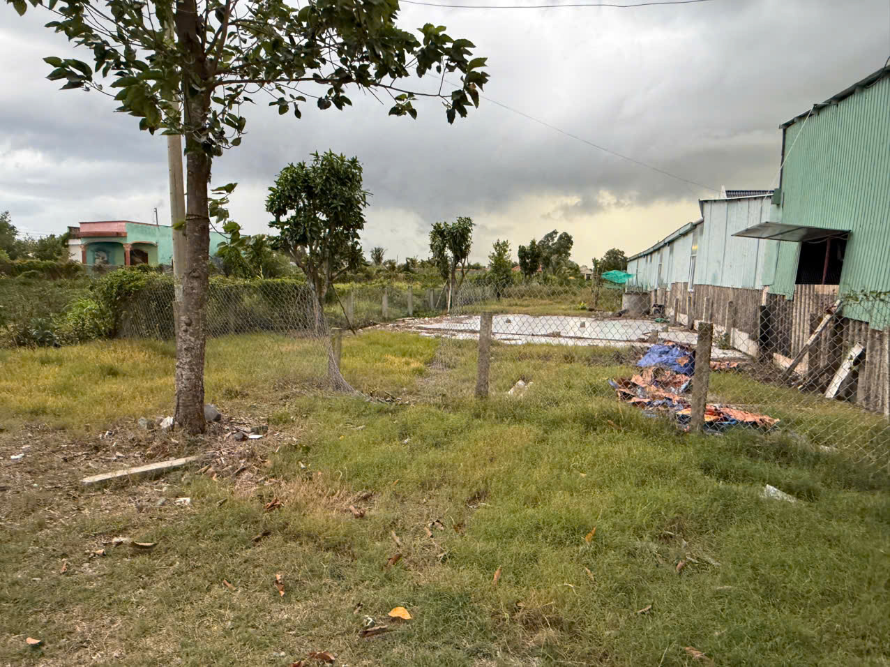 Bán đất mặt tiền ĐT 832 , xã Nhựt Ninh, Tân Trụ tdt 4000m2 ( 500m2 thổ ) giá 6,5 tỷ 6