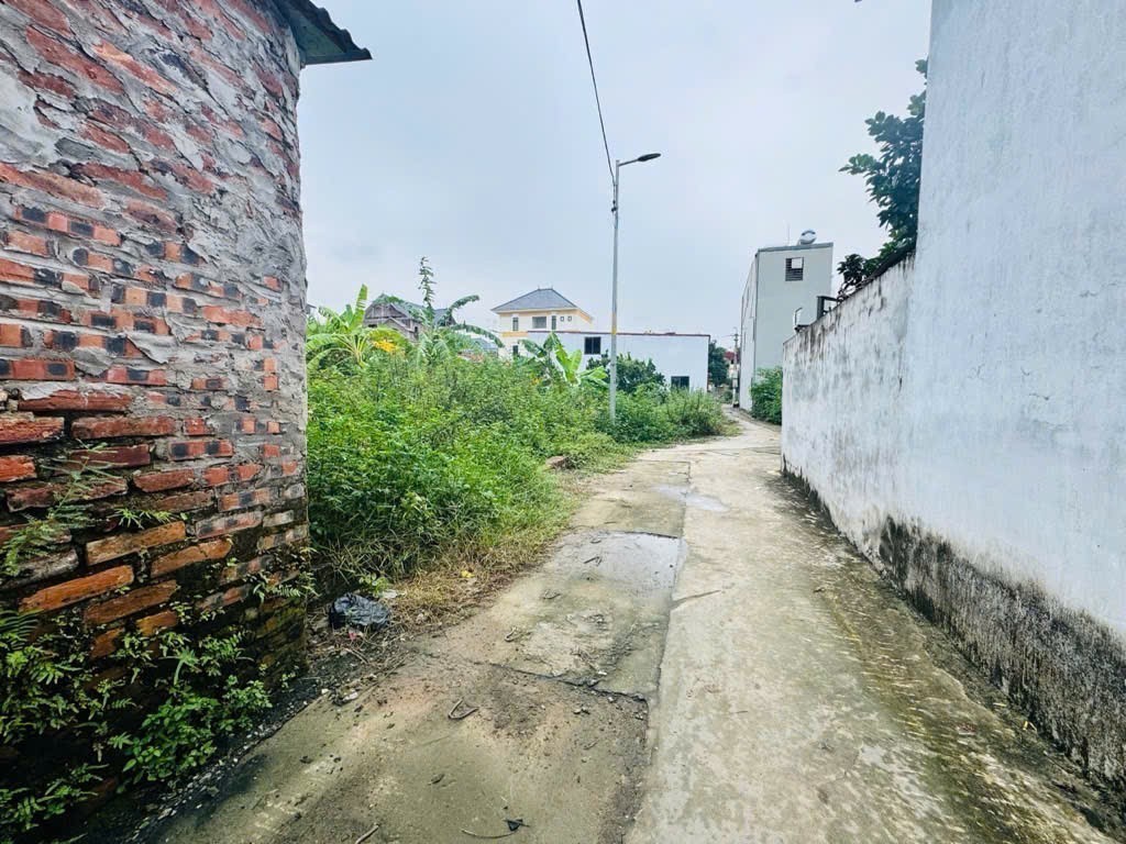 Đất tổ 9, Quang Minh, Mê Linh. Đường thông, ô tô đỗ. Gần KCN, trường CD Y Dược Tuệ Tĩnh 2