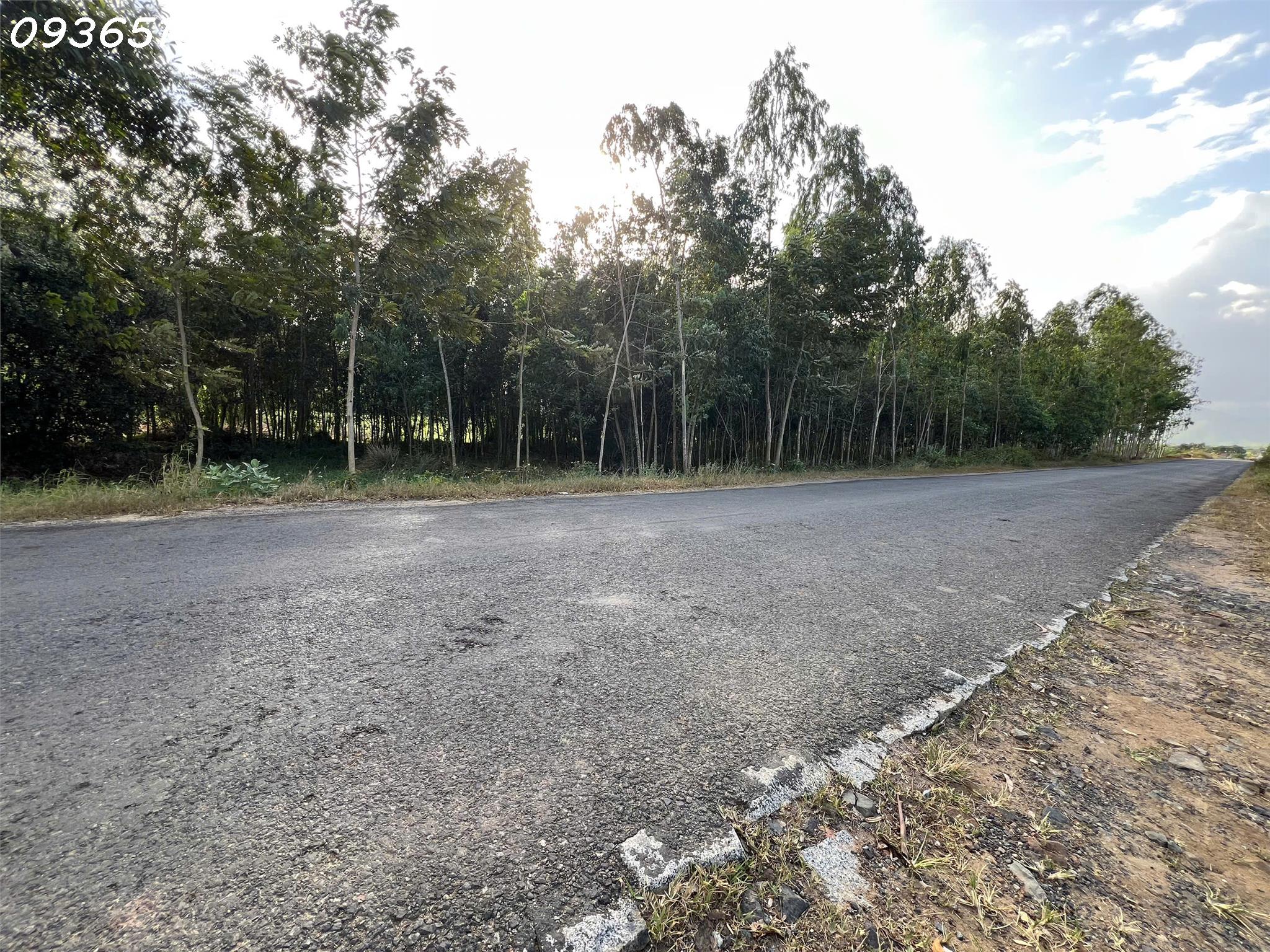 SIÊU PHẨM ĐẤT 3 MẶT TIỀN – “KẸP VÀNG” HIẾM CÓ TẠI NINH XUÂN 3